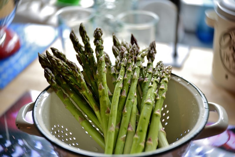 Asparagus in Spring