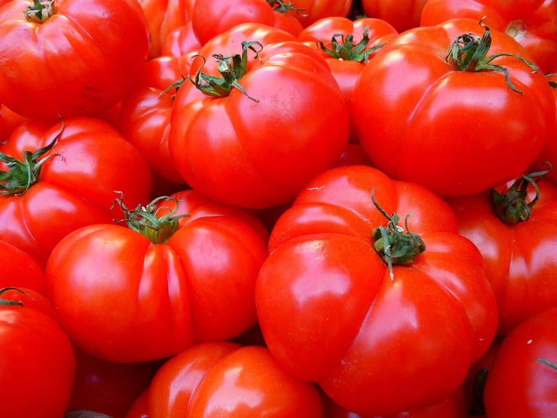 Summer Tomatoes